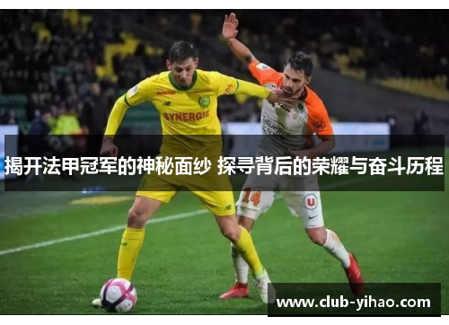 揭开法甲冠军的神秘面纱 探寻背后的荣耀与奋斗历程